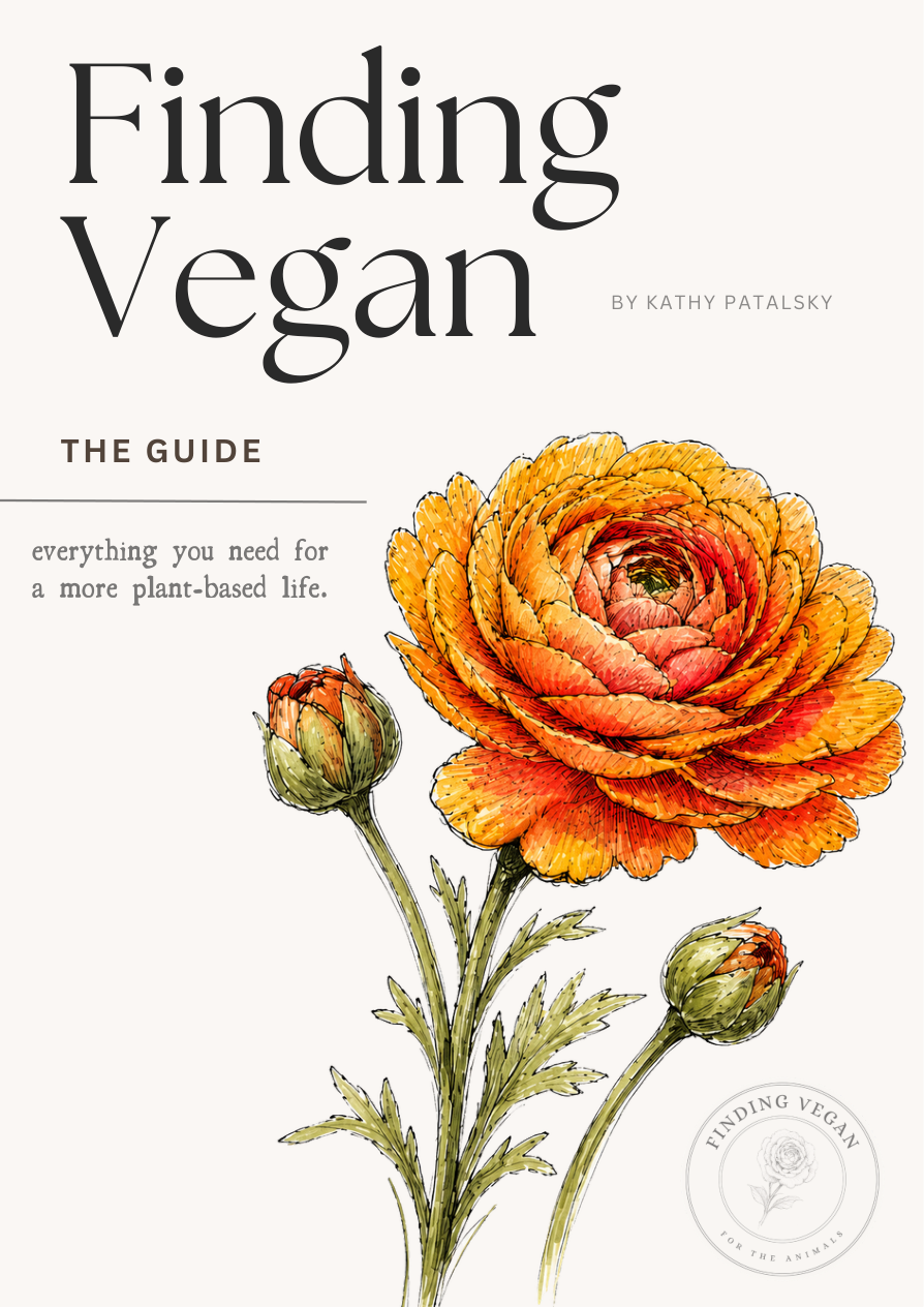 Finding Vegan — The Guide, by Kathy Patalsky